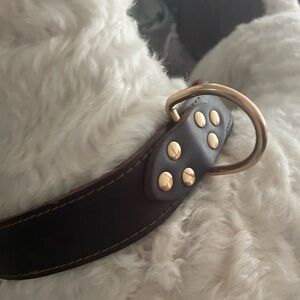 Premium Brown Leather Dog Collar
